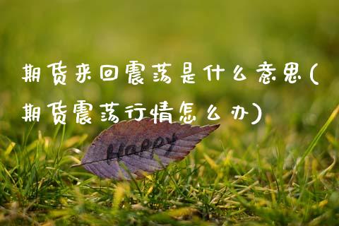期货来回震荡是什么意思(期货震荡行情怎么办)_https://www.qmgjg.com_恒生指数是什么_第1张