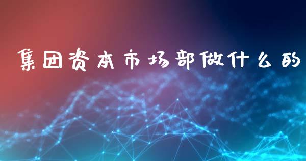 集团资本市场部做什么的_https://www.qmgjg.com_香港恒生指数_第1张