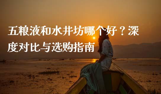 五粮液和水井坊哪个好？深度对比与选购指南_https://www.qmgjg.com_恒生指数是什么_第1张