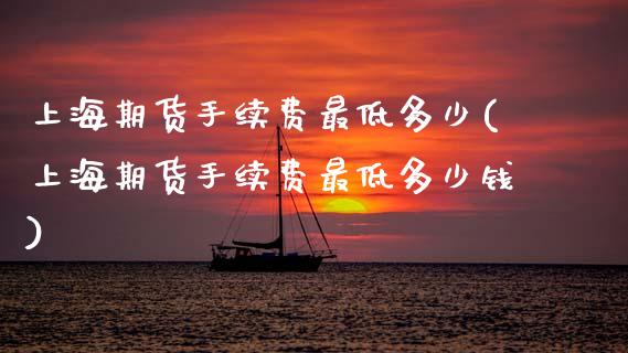上海期货手续费最低多少(上海期货手续费最低多少钱)_https://www.qmgjg.com_香港恒生指数_第1张