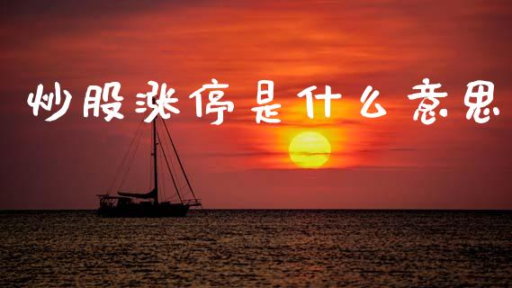 炒股涨停是什么意思_https://www.qmgjg.com_恒生指数期货_第1张