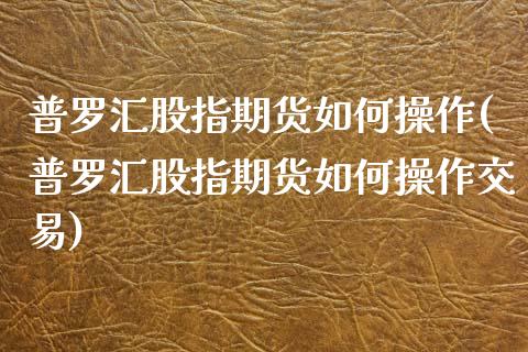 普罗汇股指期货如何操作(普罗汇股指期货如何操作交易)_https://www.qmgjg.com_恒生指数是什么_第1张