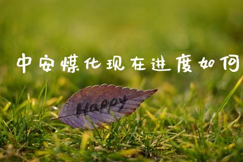 中安煤化现在进度如何_https://www.qmgjg.com_恒生指数期货_第1张