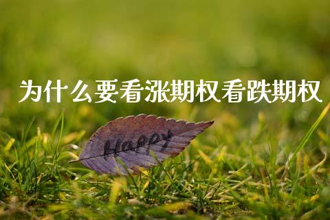 为什么要看涨期权看跌期权_香港恒生指数_第1张_香港恒生指数_恒生指数期货_港股恒生指数_恒生指数是什么 为什么要看涨期权看跌期权_https://www.qmgjg.com_香港恒生指数_第1张