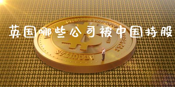 英国哪些公司被中国持股_https://www.qmgjg.com_恒生指数期货_第1张