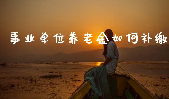 事业单位养老金如何补缴_https://www.qmgjg.com_恒生指数期货_第1张