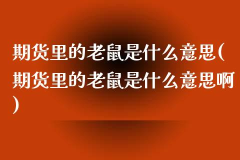 期货里的老鼠是什么意思(期货里的老鼠是什么意思啊)_https://www.qmgjg.com_港股恒生指数_第1张
