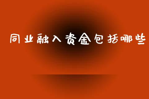 同业融入资金包括哪些_https://www.qmgjg.com_港股恒生指数_第1张