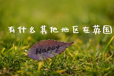 有什么其他地区在英国_https://www.qmgjg.com_恒生指数期货_第1张