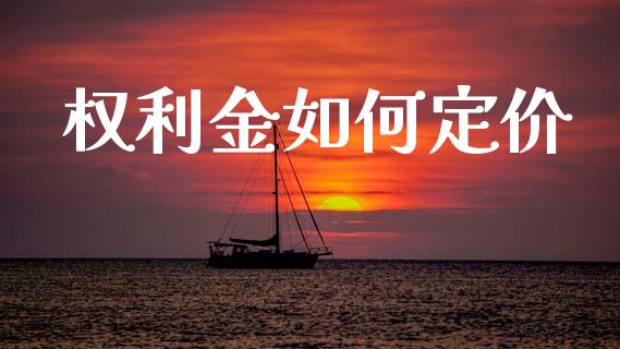 权利金如何定价_https://www.qmgjg.com_港股恒生指数_第1张
