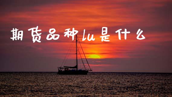 期货品种lu是什么_https://www.qmgjg.com_港股恒生指数_第1张