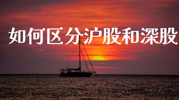 如何区分沪股和深股_https://www.qmgjg.com_恒生指数期货_第1张