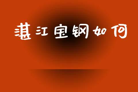 湛江宝钢如何_https://www.qmgjg.com_恒生指数期货_第1张