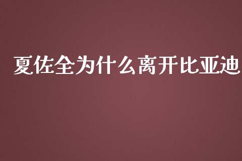 夏佐全为什么离开比亚迪_https://www.qmgjg.com_港股恒生指数_第1张