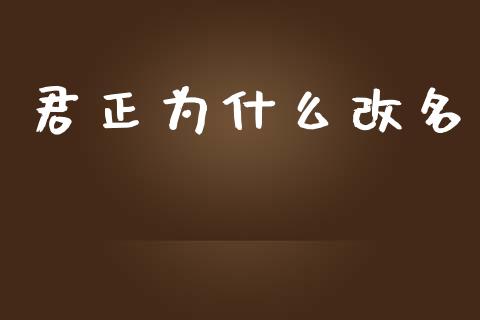 君正为什么改名_https://www.qmgjg.com_恒生指数是什么_第1张