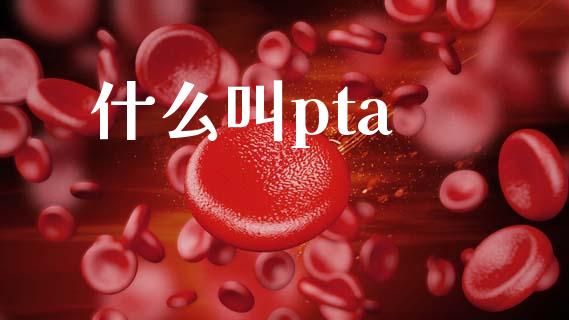 什么叫pta_港股恒生指数_第1张_香港恒生指数_恒生指数期货_港股恒生指数_恒生指数是什么 什么叫pta_https://www.qmgjg.com_港股恒生指数_第1张