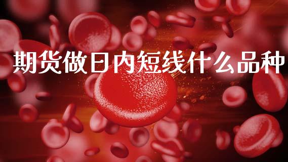 期货做日内短线什么品种_https://www.qmgjg.com_恒生指数是什么_第1张
