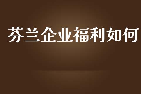 芬兰企业福利如何_https://www.qmgjg.com_港股恒生指数_第1张