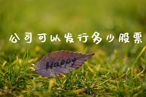 公司可以发行多少股票_https://www.qmgjg.com_香港恒生指数_第1张