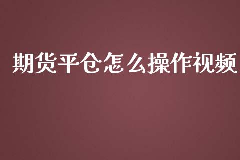 期货平仓怎么操作视频_https://www.qmgjg.com_港股恒生指数_第1张