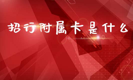 招行附属卡是什么_https://www.qmgjg.com_港股恒生指数_第1张