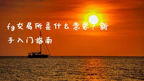fg交易所是什么意思？新手入门指南_https://www.qmgjg.com_香港恒生指数_第1张