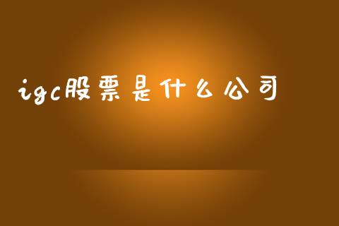 igc股票是什么公司_https://www.qmgjg.com_恒生指数期货_第1张