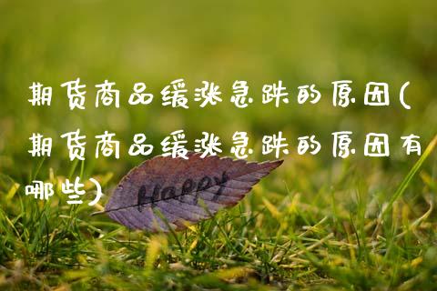 期货商品缓涨急跌的原因(期货商品缓涨急跌的原因有哪些)_https://www.qmgjg.com_恒生指数是什么_第1张