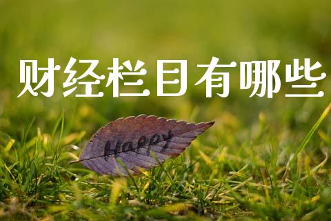 财经栏目有哪些_https://www.qmgjg.com_恒生指数期货_第1张