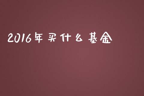 2016年买什么基金_https://www.qmgjg.com_港股恒生指数_第1张