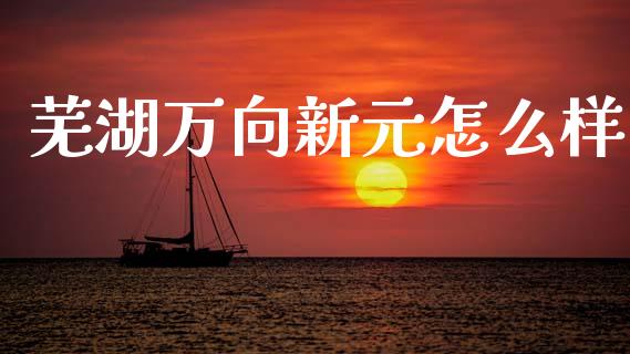 芜湖万向新元怎么样_https://www.qmgjg.com_恒生指数期货_第1张