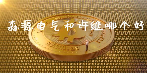 森源电气和许继哪个好_https://www.qmgjg.com_香港恒生指数_第1张