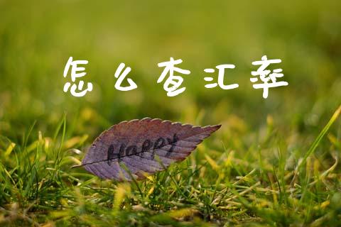 怎么查汇率_https://www.qmgjg.com_恒生指数是什么_第1张