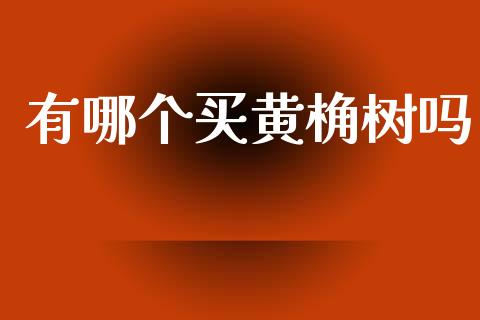有哪个买黄桷树吗_https://www.qmgjg.com_恒生指数是什么_第1张