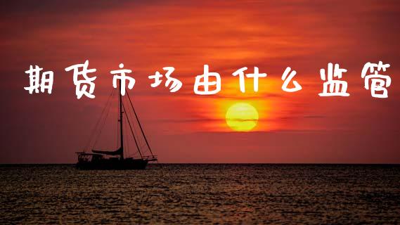 期货市场由什么监管_https://www.qmgjg.com_港股恒生指数_第1张