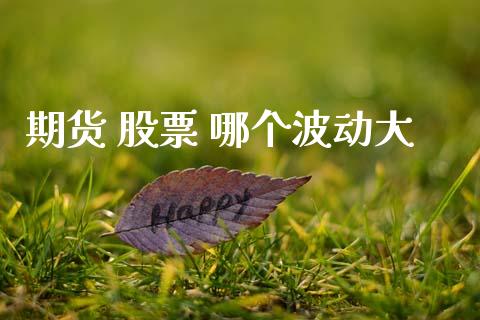 期货 股票 哪个波动大_https://www.qmgjg.com_香港恒生指数_第1张