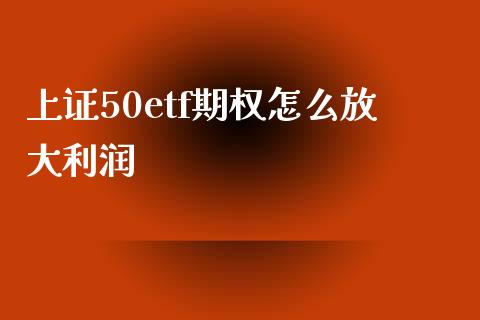 上证50etf期权怎么放大利润_https://www.qmgjg.com_香港恒生指数_第1张