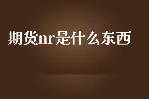 期货nr是什么东西_https://www.qmgjg.com_香港恒生指数_第1张