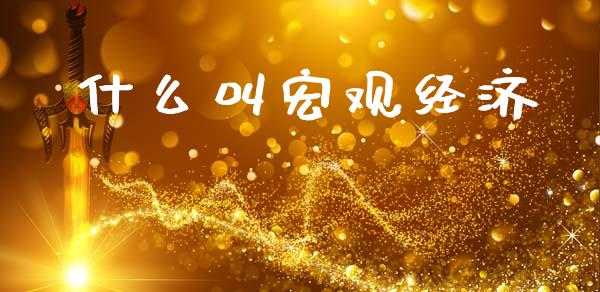 什么叫宏观经济_https://www.qmgjg.com_香港恒生指数_第1张