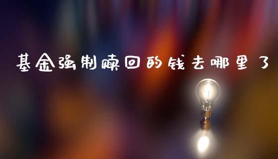基金强制赎回的钱去哪里了_https://www.qmgjg.com_恒生指数是什么_第1张