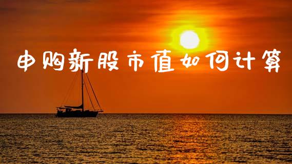 申购新股市值如何计算_https://www.qmgjg.com_恒生指数期货_第1张