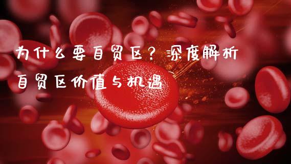 为什么要自贸区？深度解析自贸区价值与机遇_https://www.qmgjg.com_恒生指数是什么_第1张