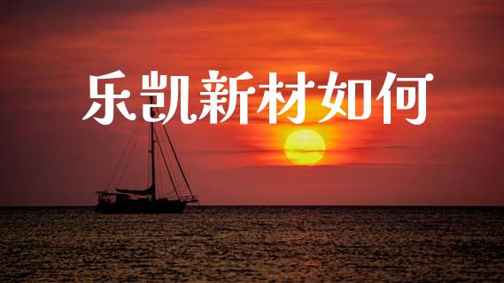 乐凯新材如何_https://www.qmgjg.com_香港恒生指数_第1张