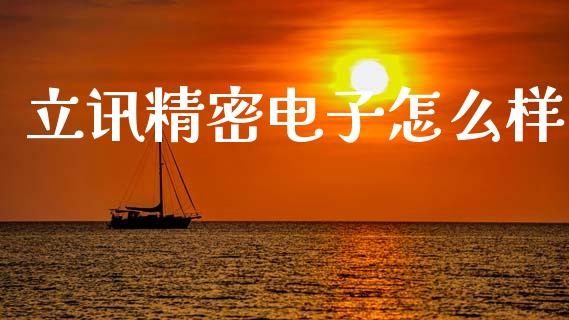 立讯精密电子怎么样_https://www.qmgjg.com_香港恒生指数_第1张
