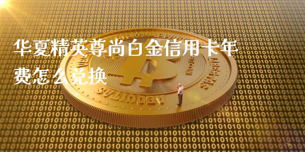 华夏精英尊尚白金信用卡年费怎么兑换_https://www.qmgjg.com_港股恒生指数_第1张