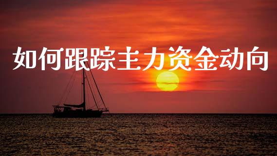 如何跟踪主力资金动向_https://www.qmgjg.com_恒生指数期货_第1张