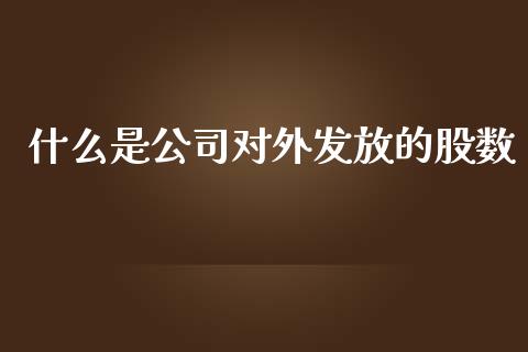 什么是公司对外发放的股数_https://www.qmgjg.com_恒生指数是什么_第1张