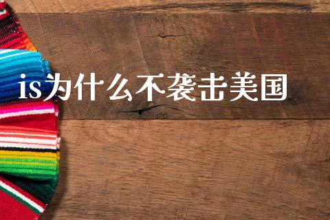 is为什么不袭击美国_https://www.qmgjg.com_恒生指数期货_第1张