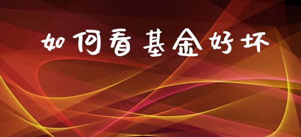 如何看基金好坏_https://www.qmgjg.com_香港恒生指数_第1张