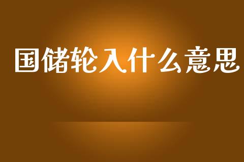 国储轮入什么意思_https://www.qmgjg.com_港股恒生指数_第1张